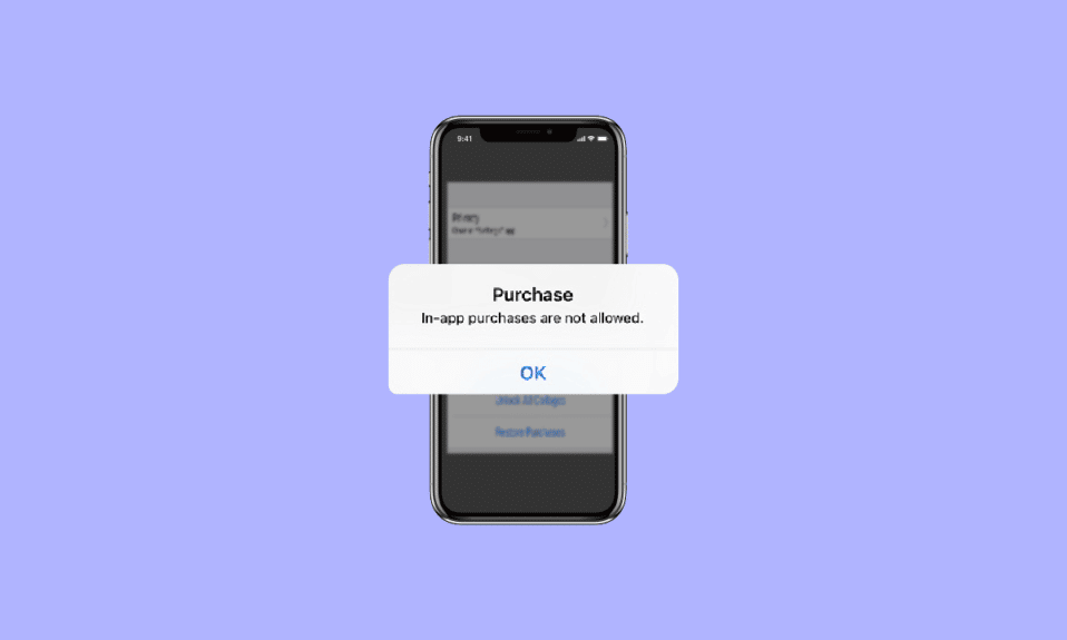 Fix iPhone In App Purchase Is Not Supported Error