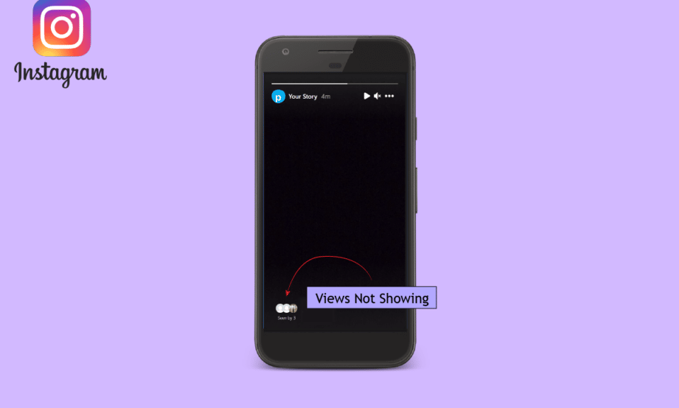 How to Fix Instagram Story Views Not Showing