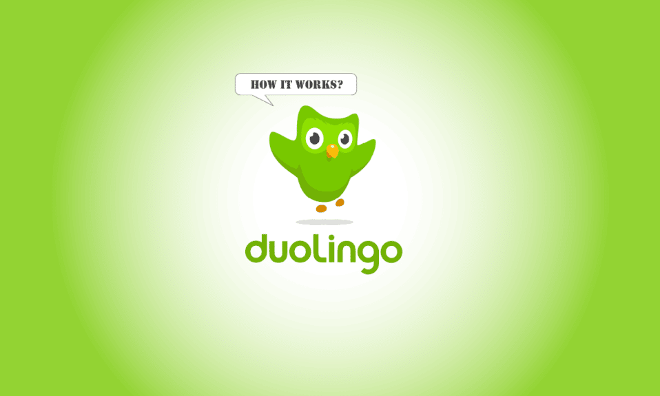 What is Duolingo and How Duolingo Works? Tips and Tricks