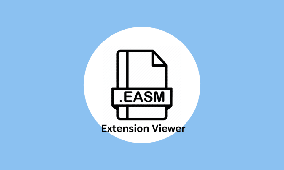 What is EASM Extension Viewer
