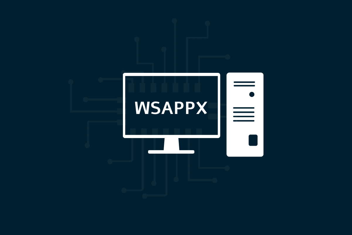 What is WSAPPX