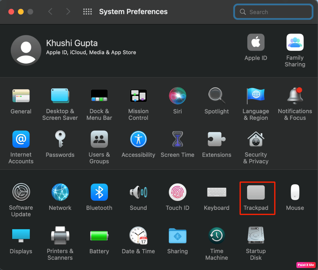 choose trackpad option