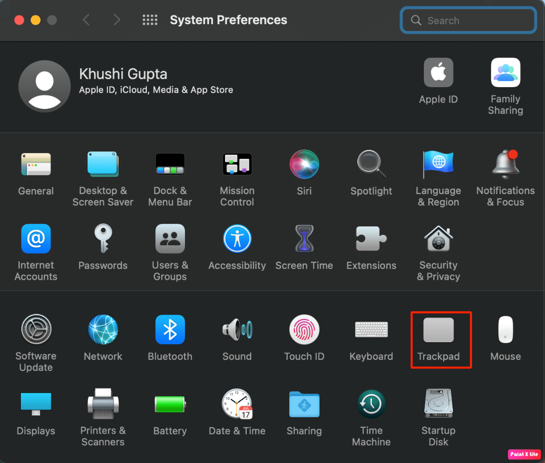 choose trackpad option
