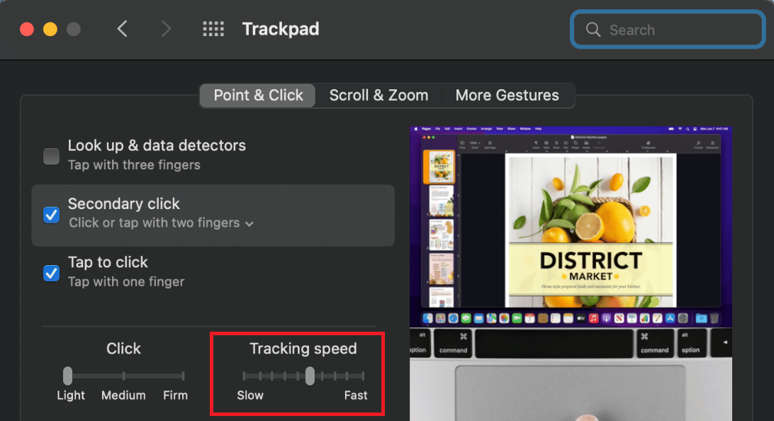drag the Tracking Speed slider