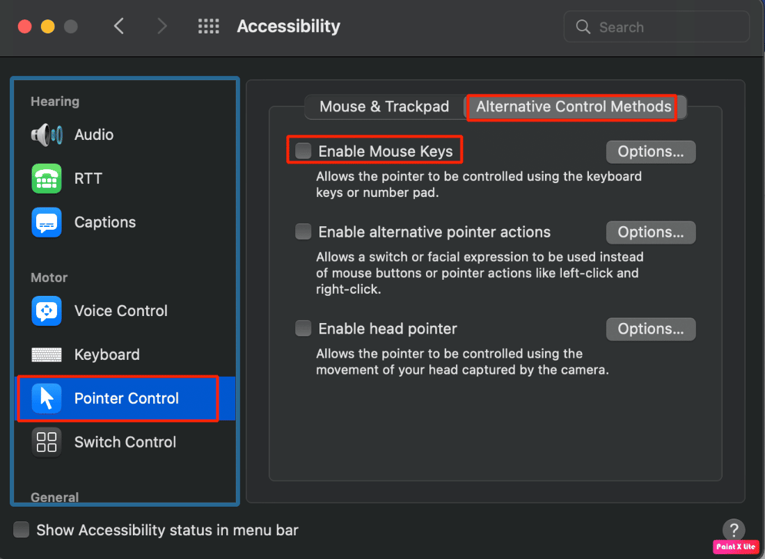 choose pointer control, then under alternative control methods disable mouse keys