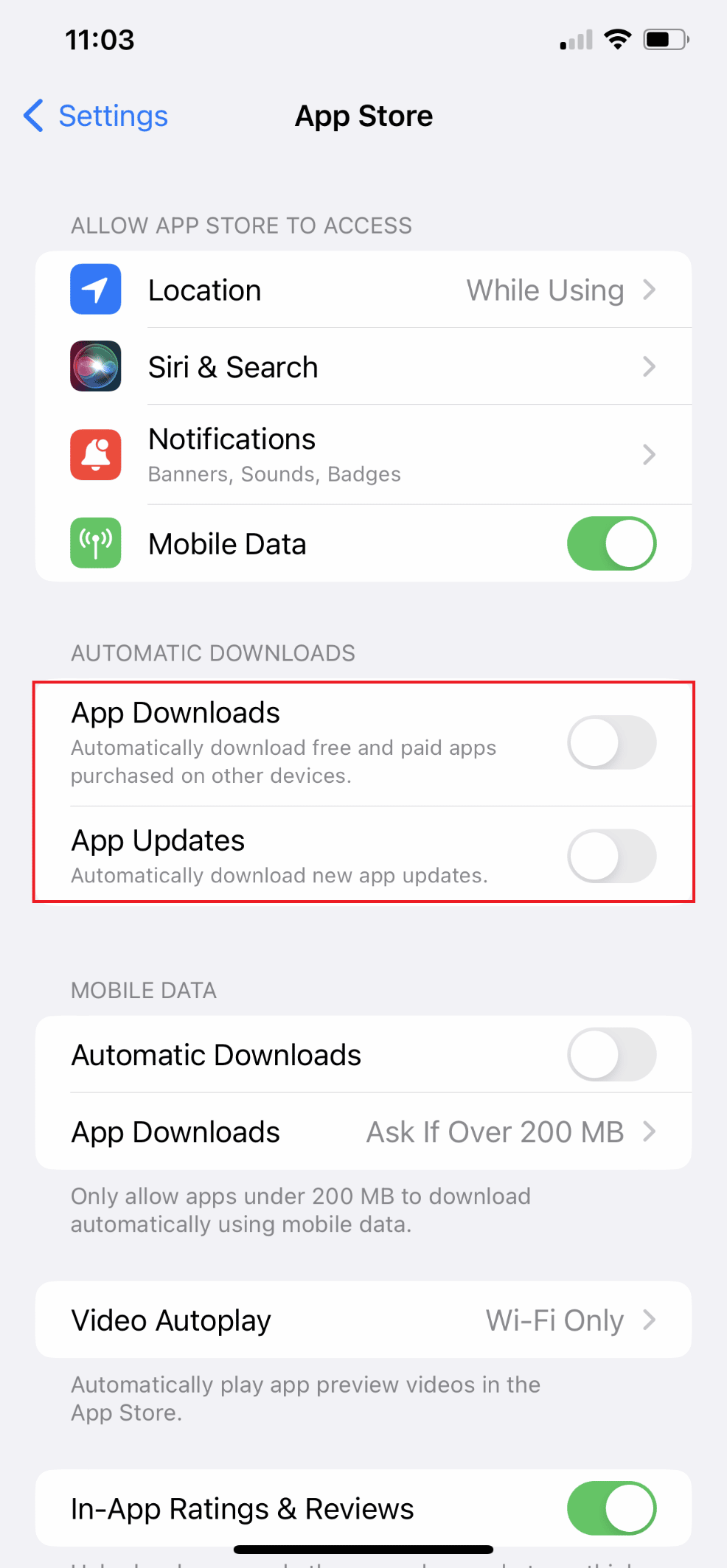 Turn Off App Downloads and App Updates 