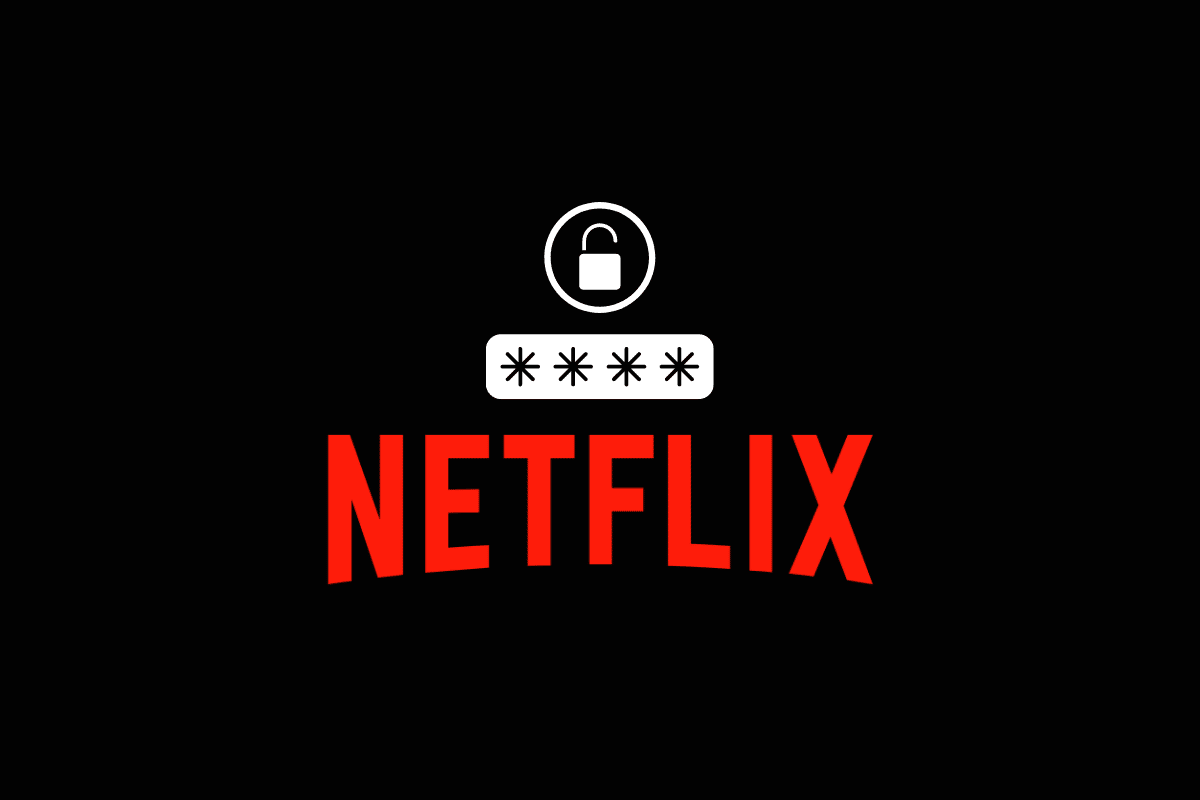 What is My Netflix Password?
