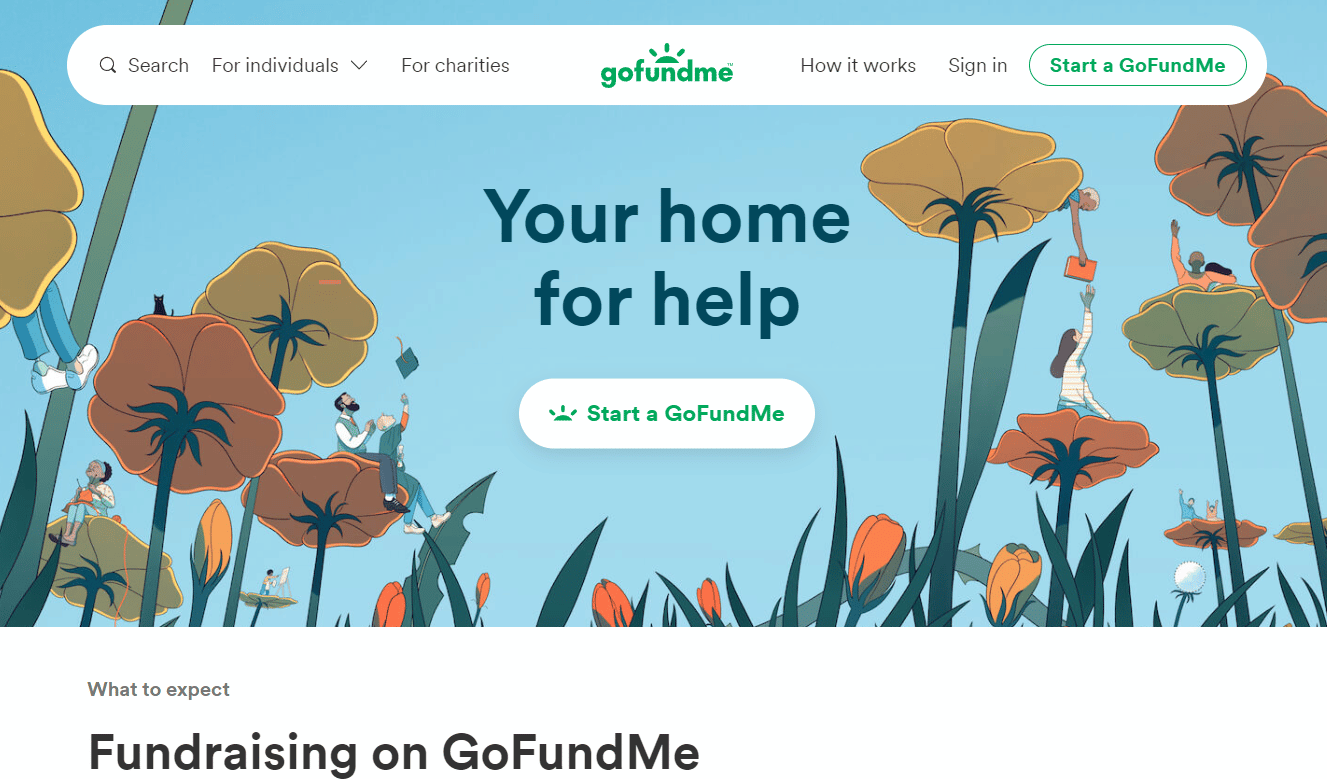 GoFundMe website