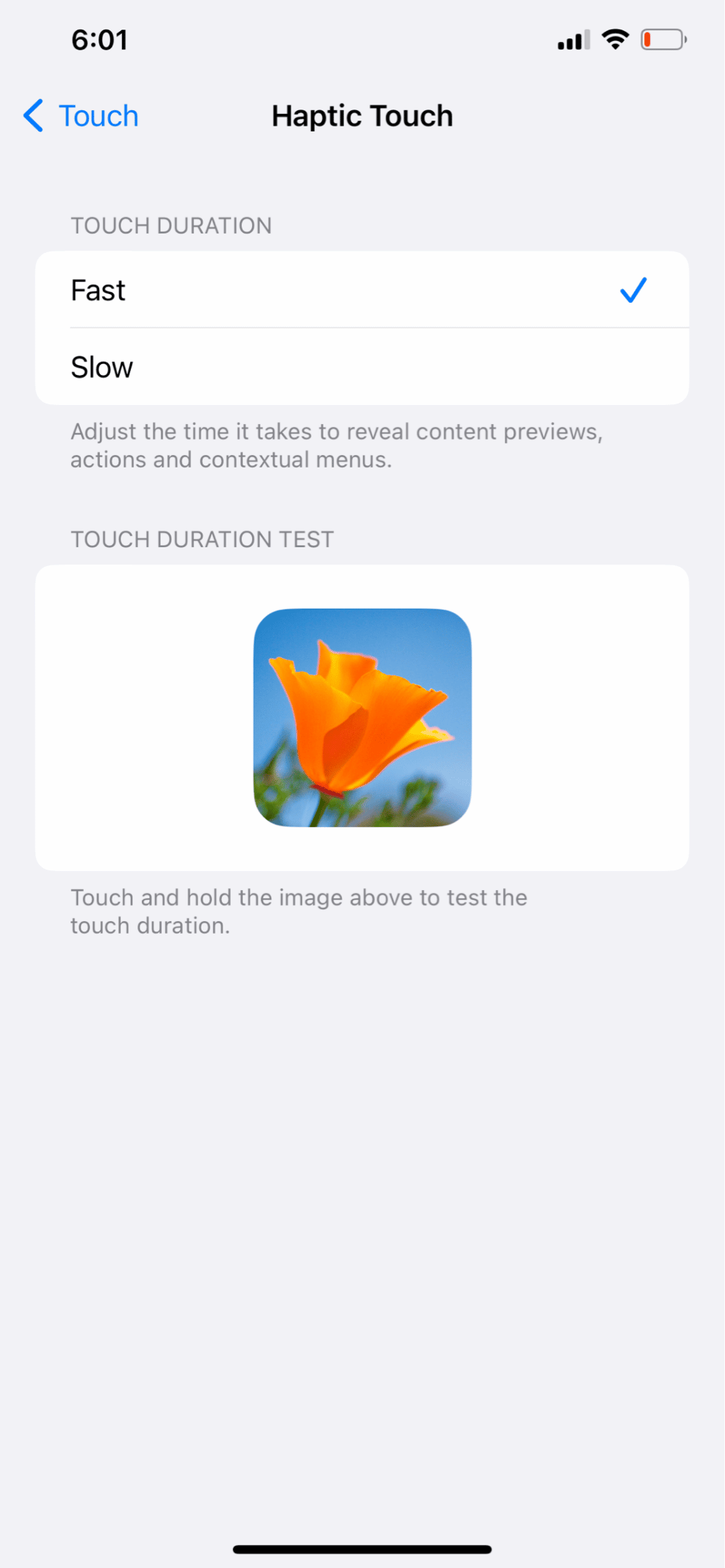 Haptic Touch 