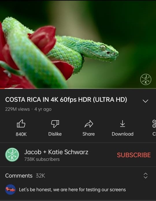 opening a video in YouTube | How to Download YouTube Videos in Mobile Gallery
