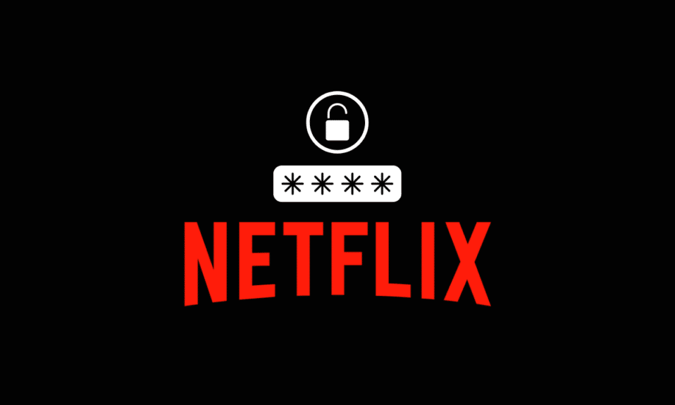 What is My Netflix Password?