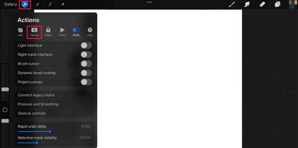 select Canvas menu in procreate settings