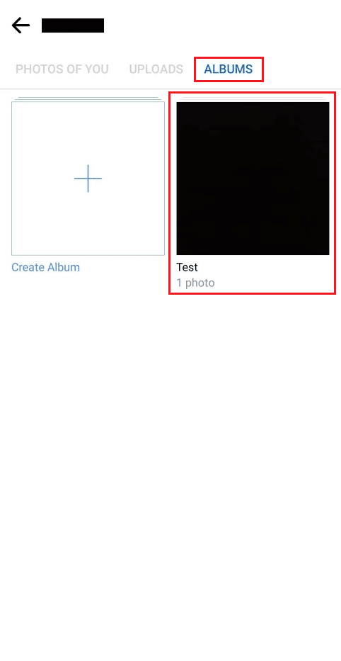 Switch to the ALBUMS tab and tap on the desired album
