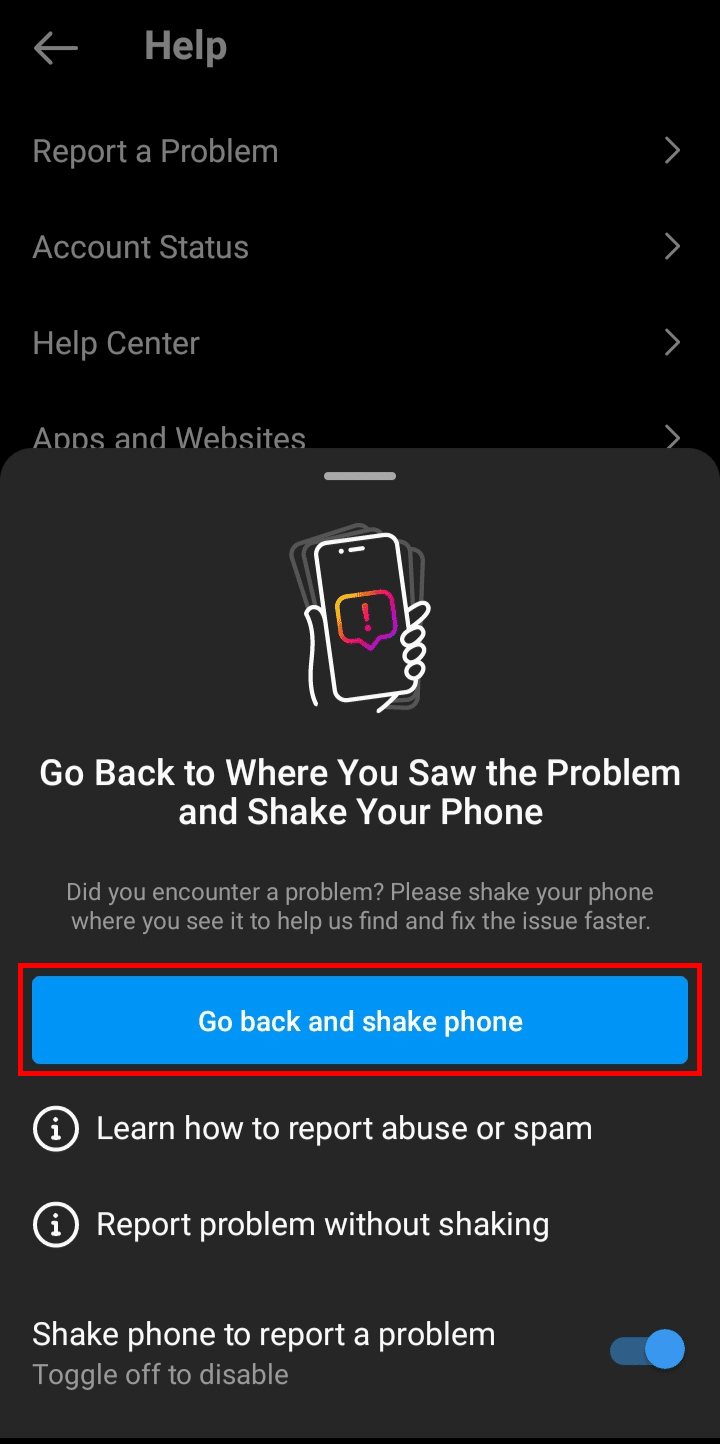 Tap on the Go back and shake phone button to turn it on and go to the settings. | How to Change Age on Instagram