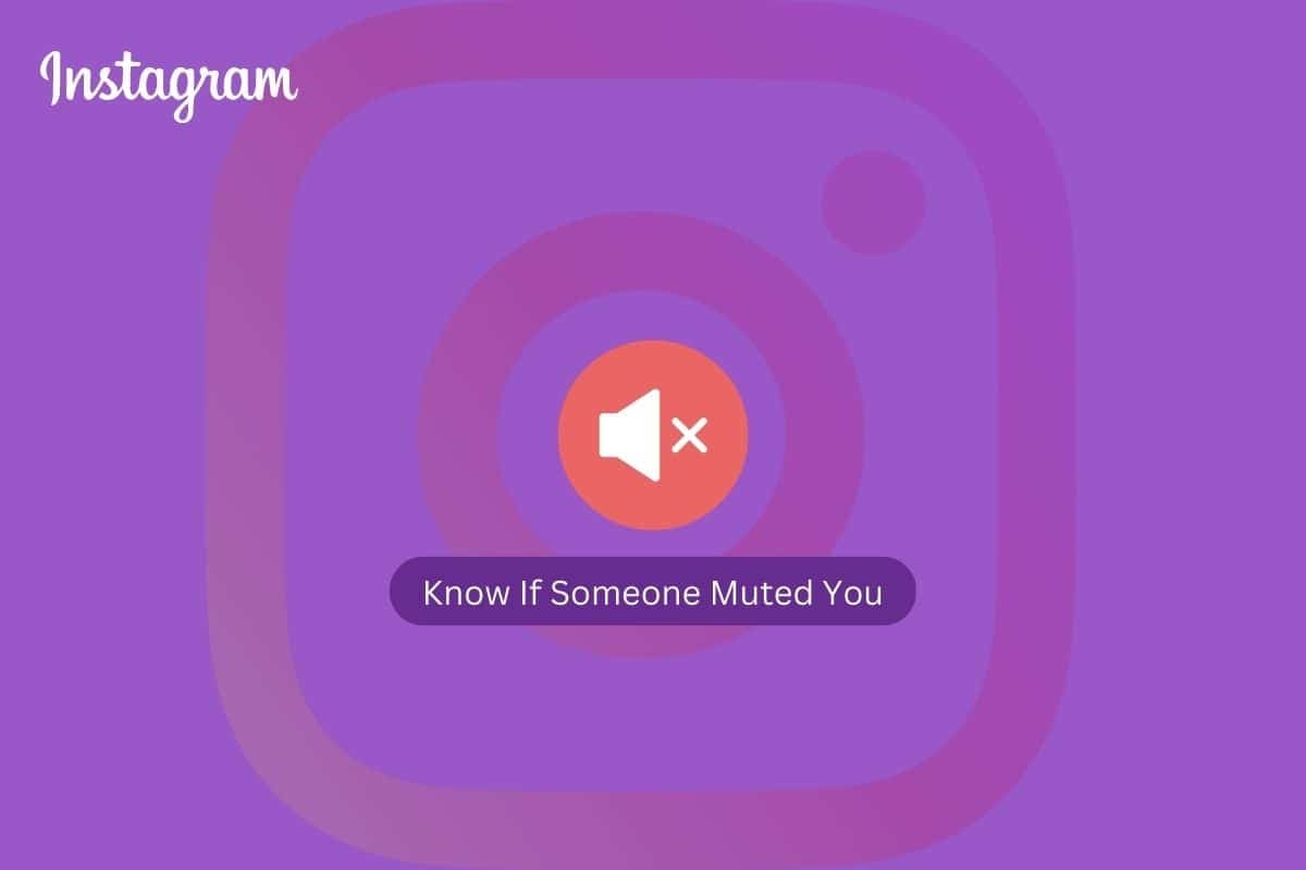 How to Know If Someone Muted You on Instagram