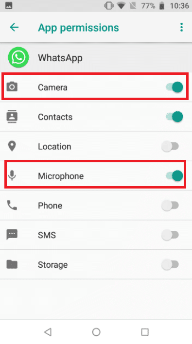 Turn on the toggles for the Camera and Microphone options