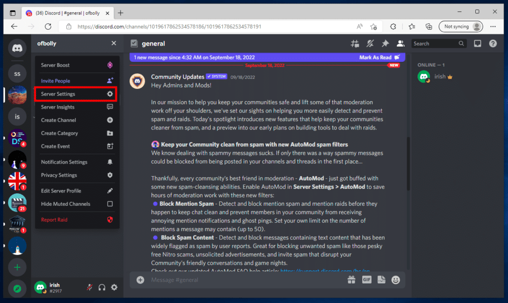 Click on Server Settings