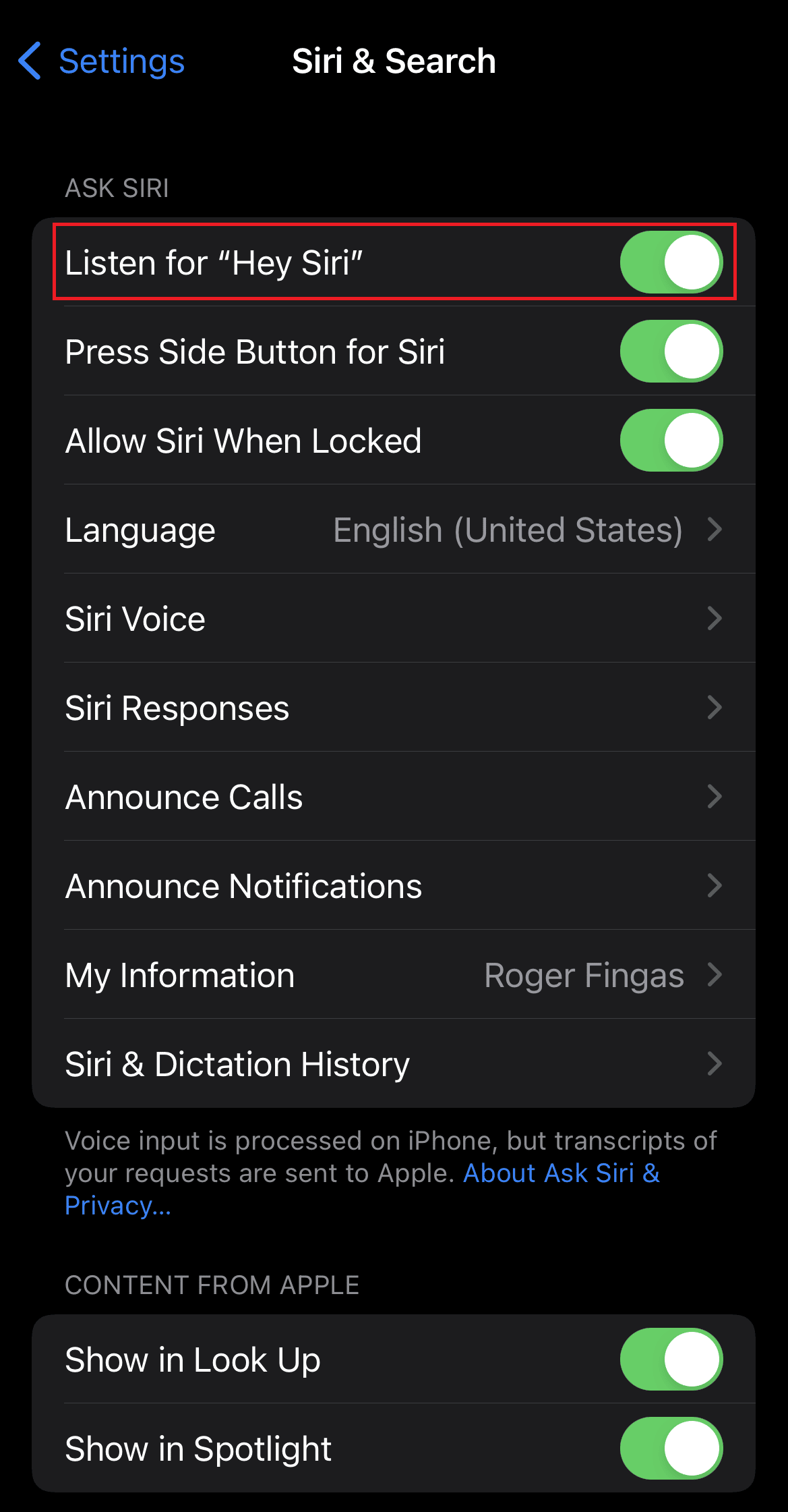 Turn on the toggle for the Listen for “Hey Siri” option | apps disappeared from iPhone home screen iOS 14
