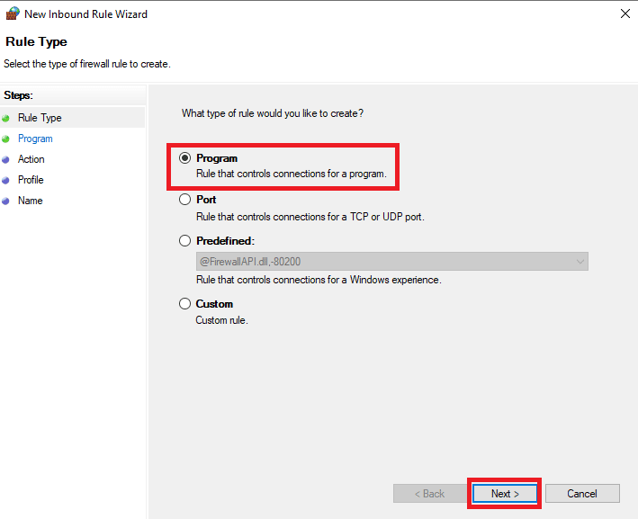 select Program and click Next