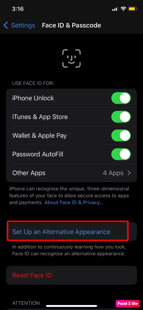 tap on set up an alternative appearance | How to Fix Face ID Not Working Problem on iPhone