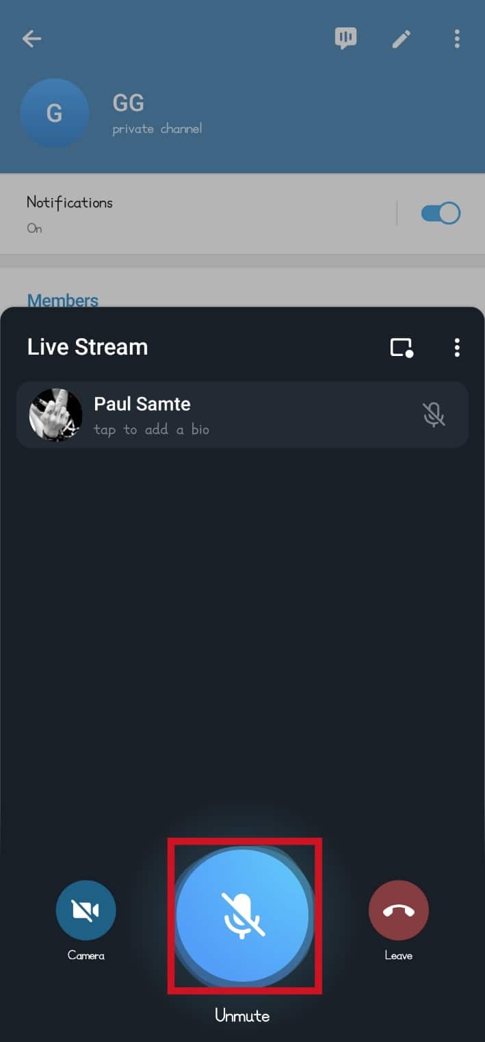 Tap on the Unmute button