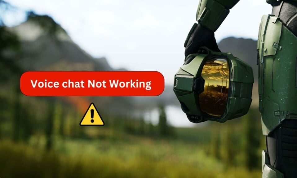 Fix Halo Infinite Voice Chat Not Working