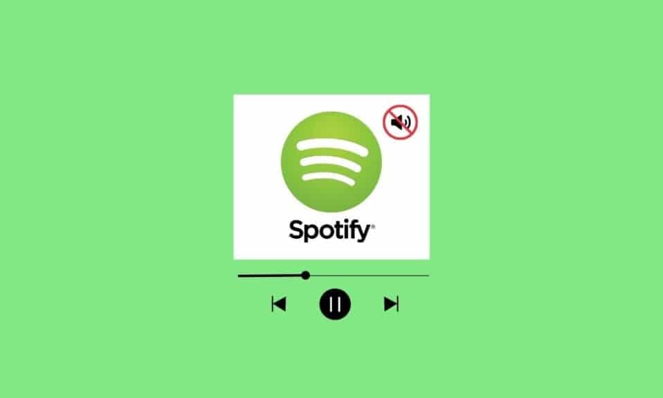 Fix No Sound on Spotify on Android