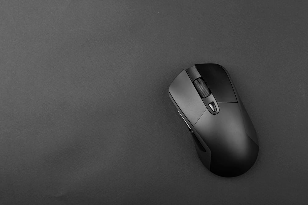 mouse jan23