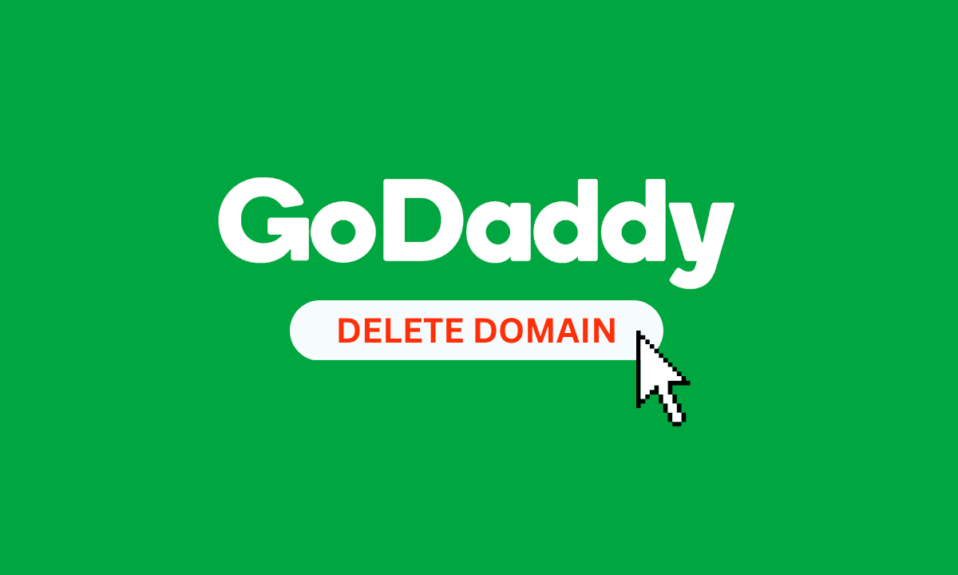 How to Delete GoDaddy Domain