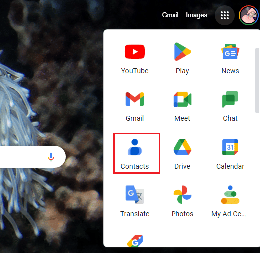 click on the Google Contacts option