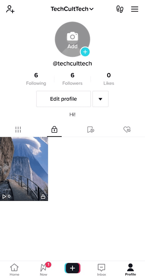 tiktok profile