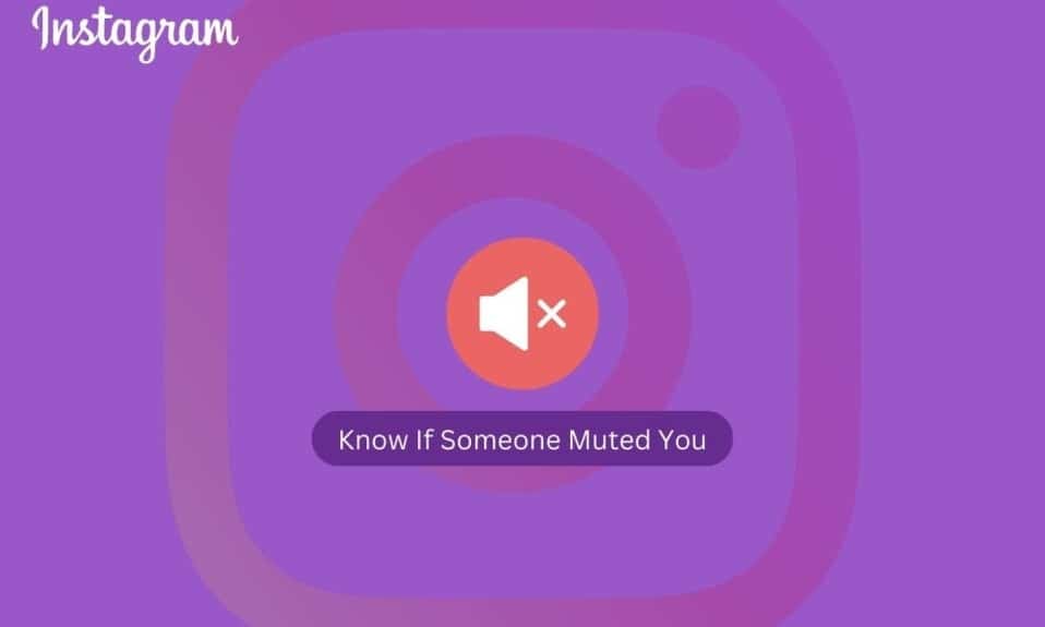 How to Know If Someone Muted You on Instagram