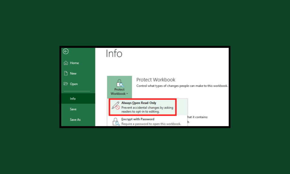 How to Make Excel File Read Only