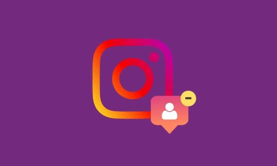 How to Tell If Someone Removed You on Instagram