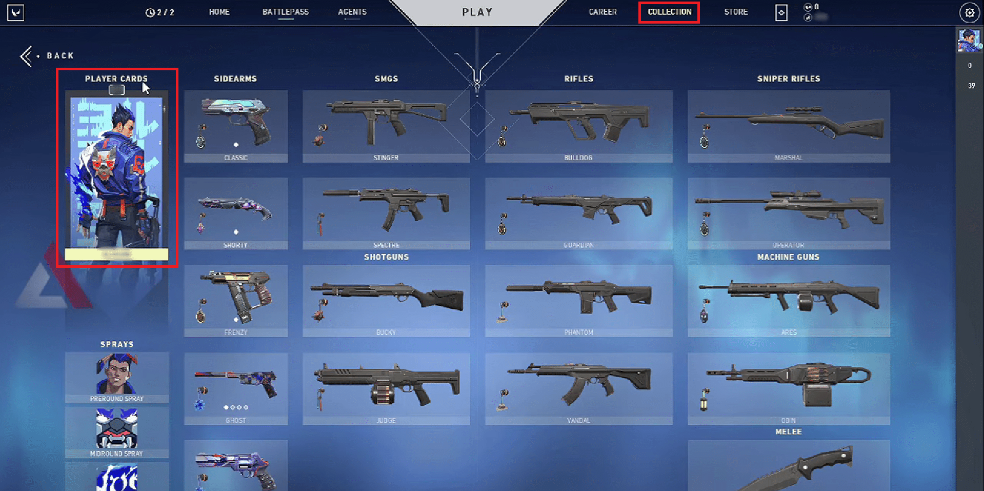 COLLECTION tab - PLAYER CARDS