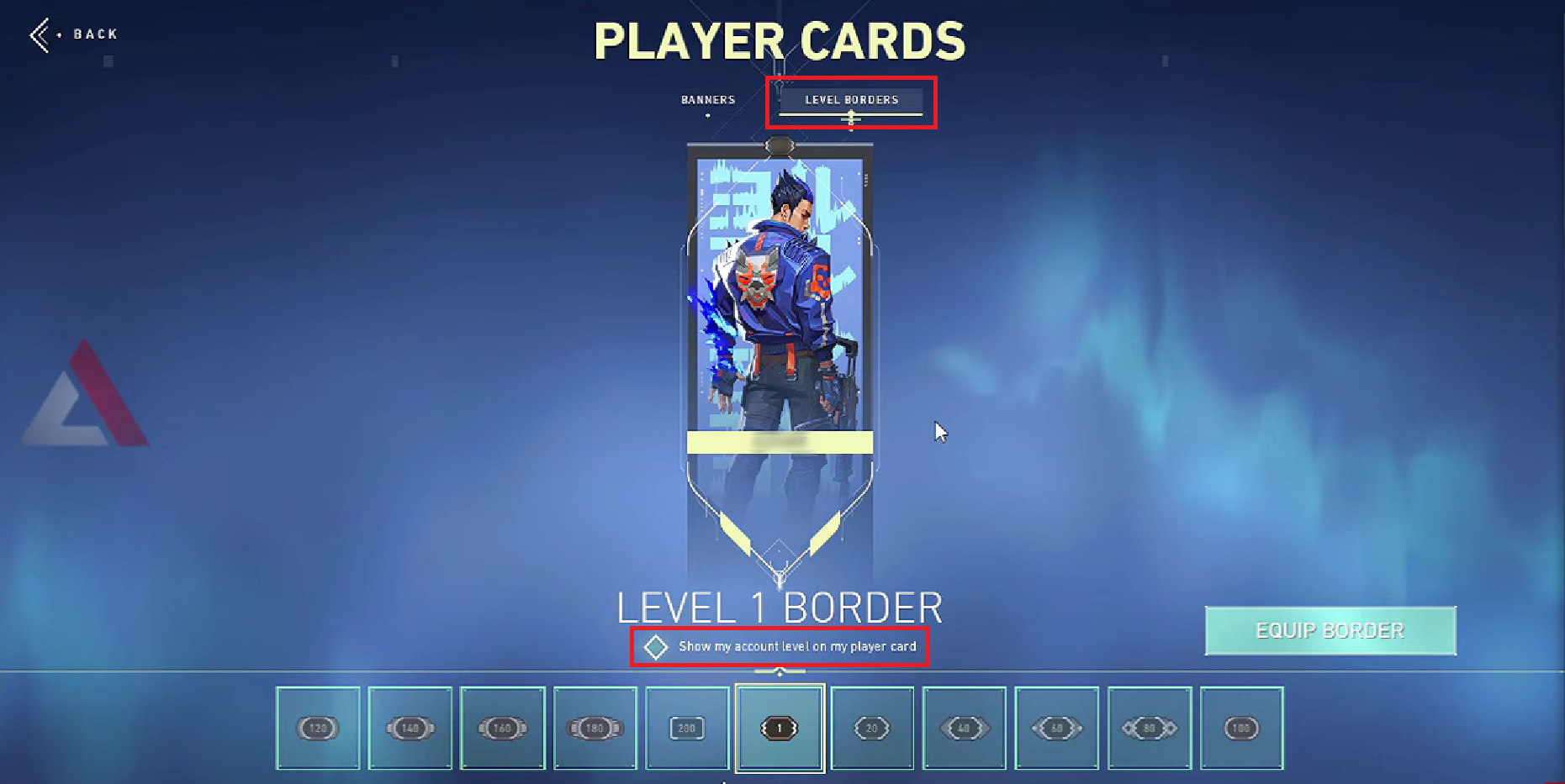 LEVEL BORDERS tab - Uncheck the checkbox for the Show my account level on my player card option
