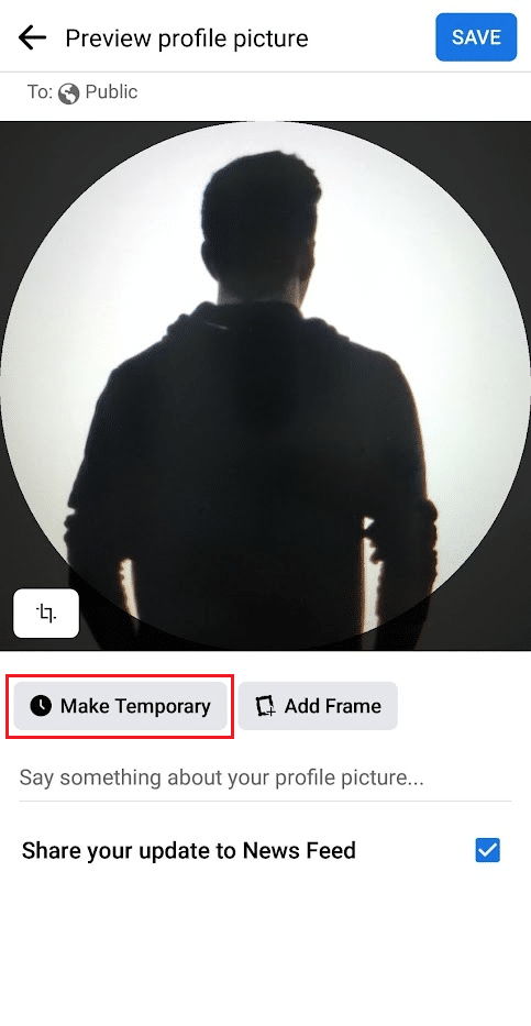 tap on Make Temporary | How to Add a Temporary Profile Picture on Facebook