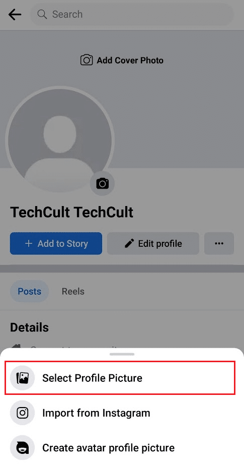 Tap on the Select Profile Picture option