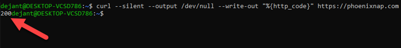 how to use the curl command to check a server's http status