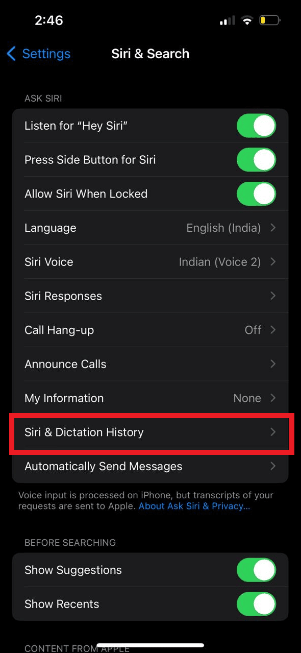 Tap on Siri and Dictation History.