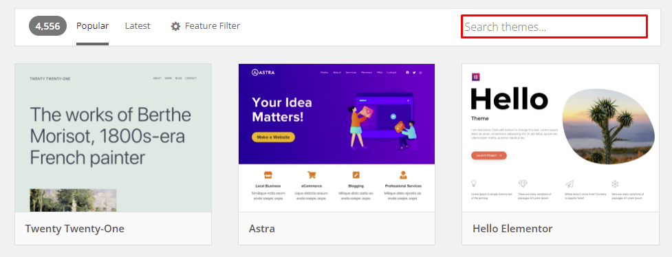 The Search themes option to find your desired WordPress theme.
