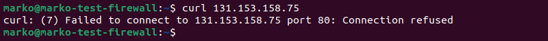 Using curl to test the public network connection with the web server.