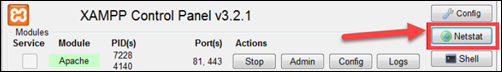 Open Netstat on XAMPP control panel.