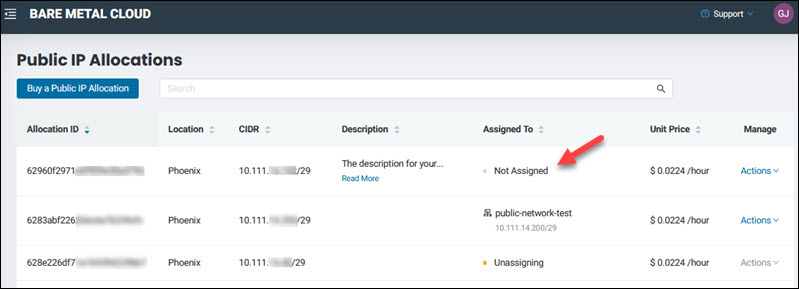 Public IP allocations table showing unassigned IP.
