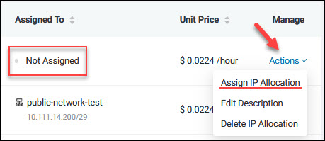 Assign public IP allocation action in the BMC portal