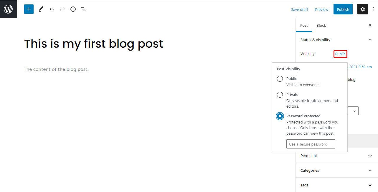 The Post Visibility settings on the WordPress Gutenberg editor