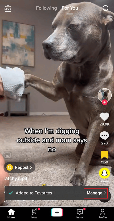 on Manage to see all your bookmarked favorite TikTok videos