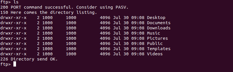 Using the ls command to list the content of a directory on the remote system