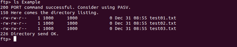 Listing the content of a specific directory on the remote system