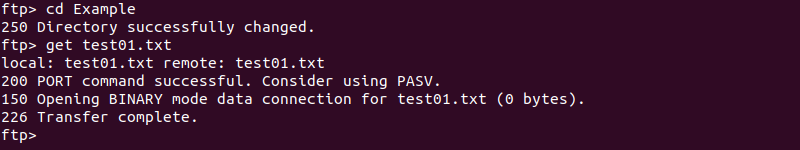 Transferring a file from a directory on the remote system to the local machine